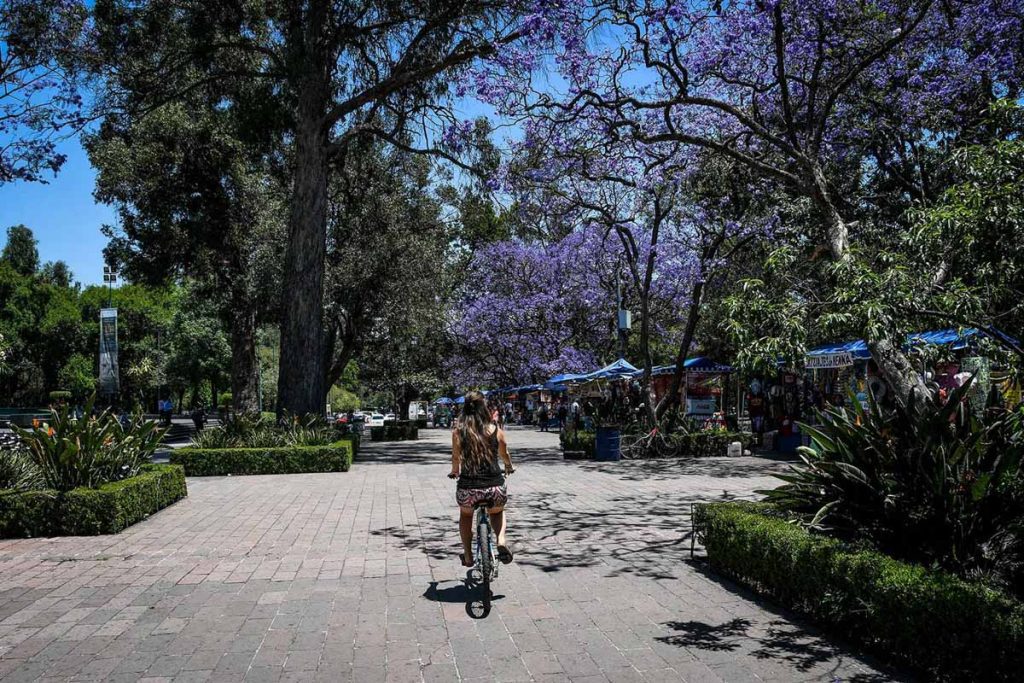骑自行车游览墨西哥城