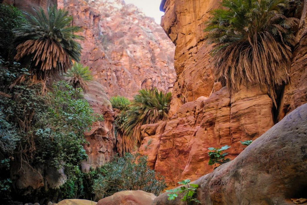Wadi Ghuweir小径(约旦徒步旅行网站及指南)