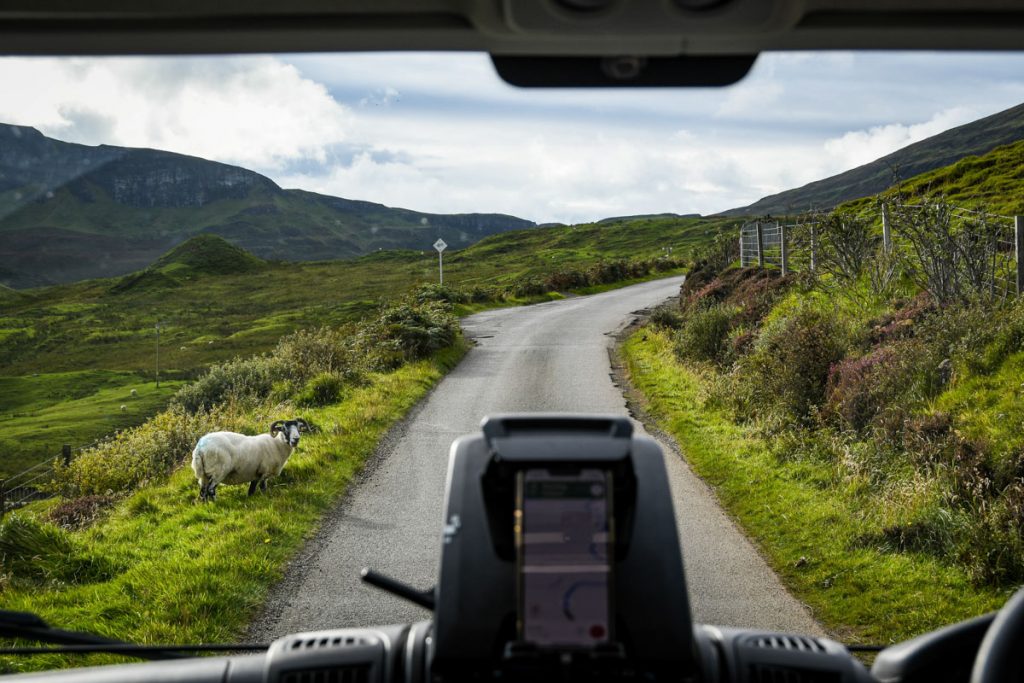 Campervan Hire Scotland Sheep near roads