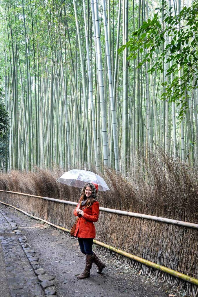 日本京都附近的岚山竹林