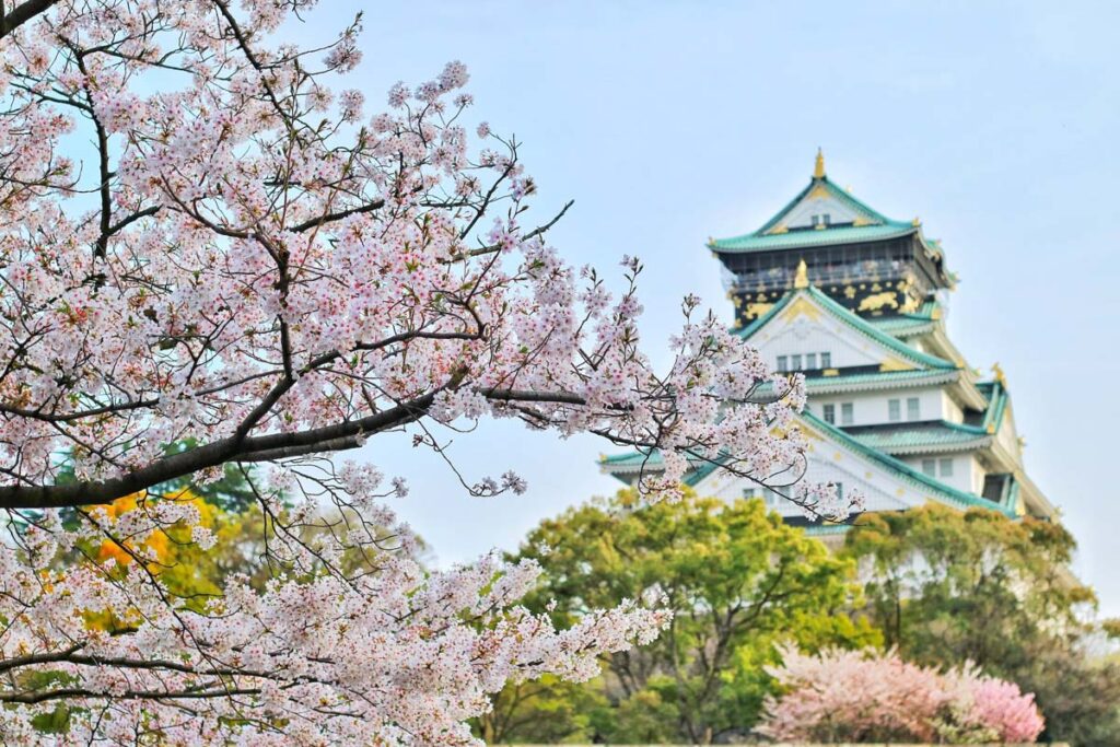 大阪城堡樱花