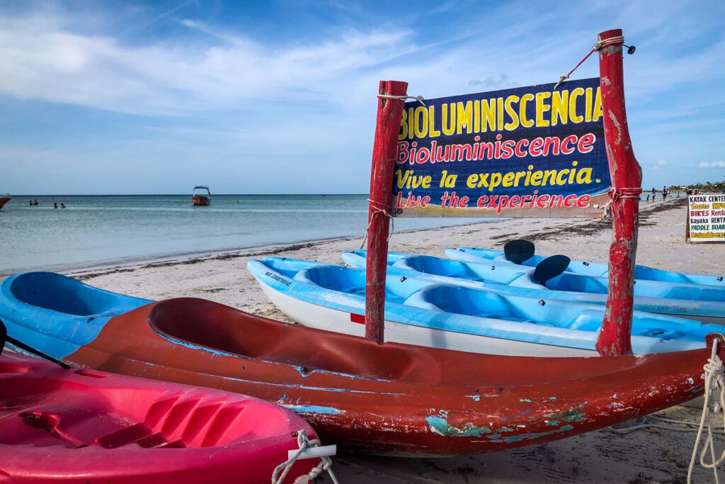 生物发光游览墨西哥的Holbox岛