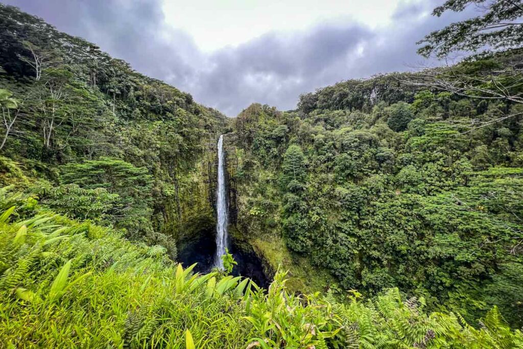夏威夷岛阿卡卡瀑布州立公园
