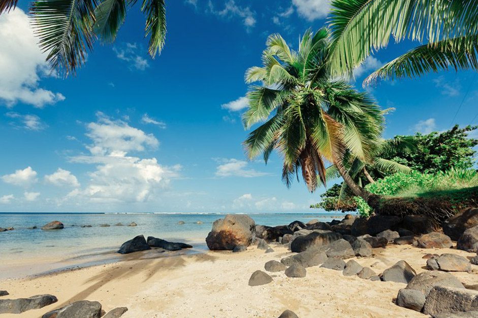 夏威夷可爱岛阿尼尼海滩住宿与旅游协会
