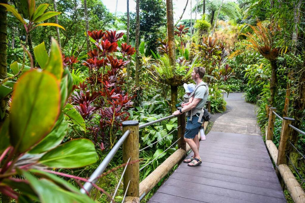 Hawaii Tropical Bioreserve & Garden Big Island