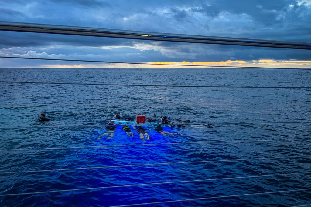 蝠鲼浮潜科纳夏威夷大岛