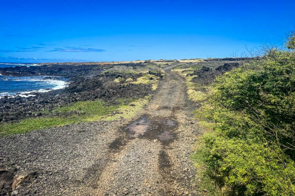 帕帕科利亚绿沙滩步道夏威夷大岛
