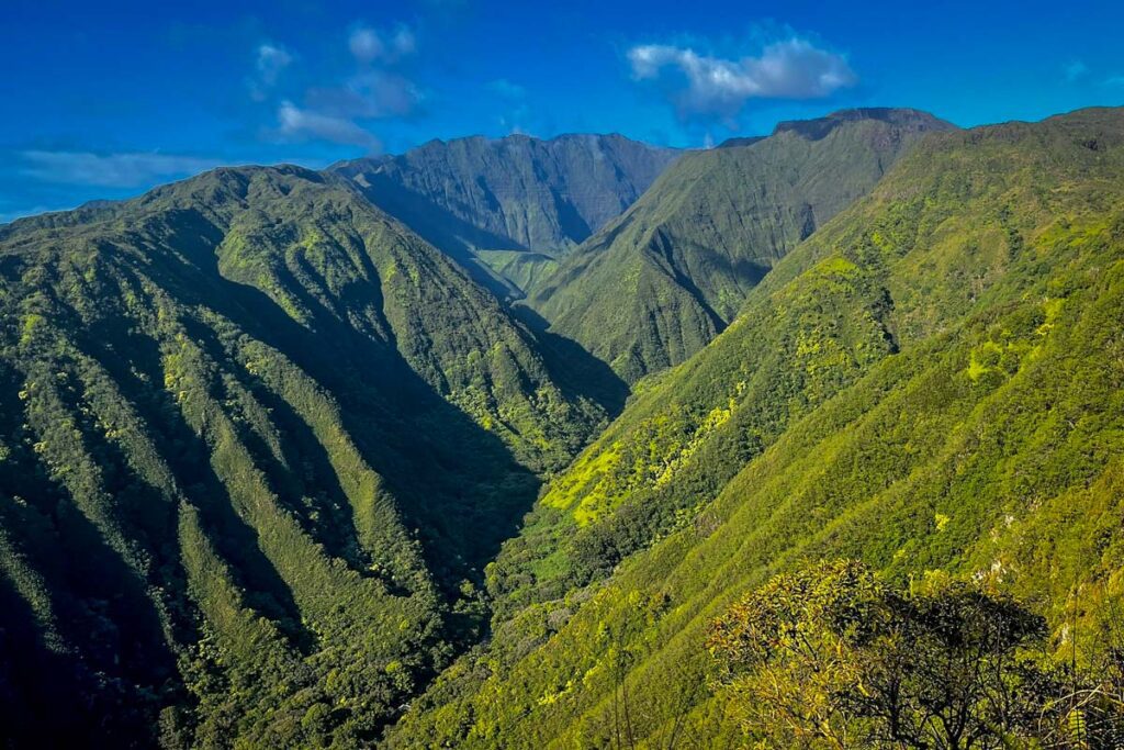 夏威夷毛伊岛Waihe'e Ridge Trail