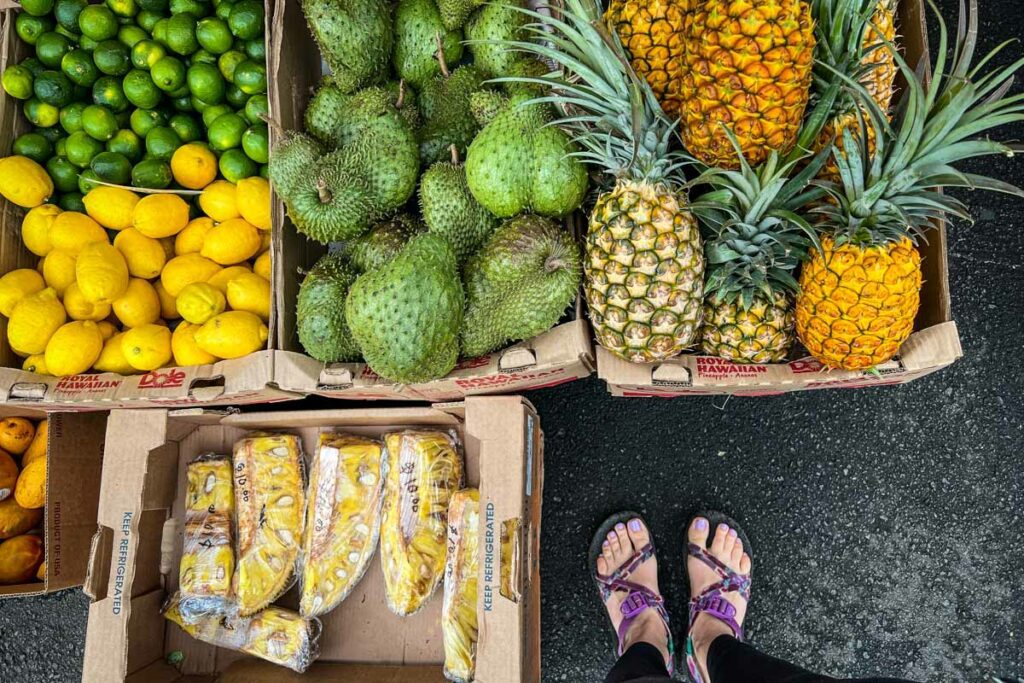 夏威夷大岛的科纳农贸市场