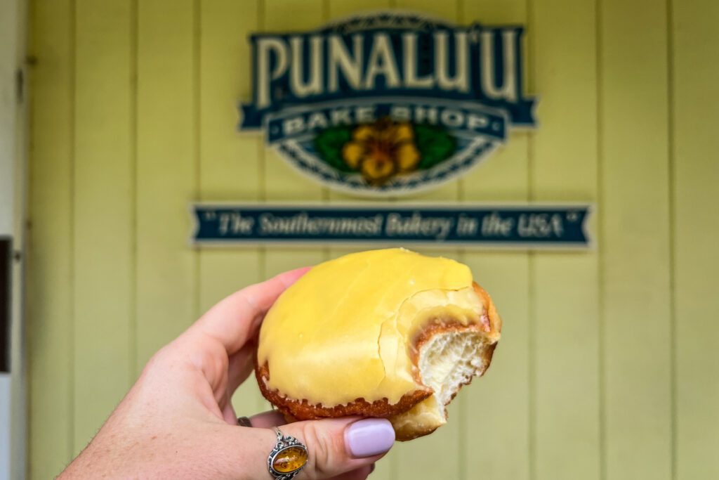 Punalu'u甜甜圈夏威夷大岛