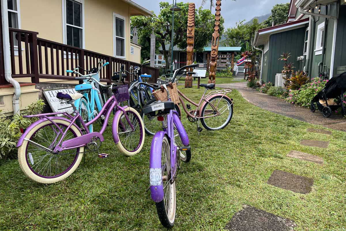 在夏威夷考艾岛骑自行车