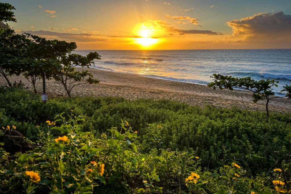日落考艾岛夏威夷