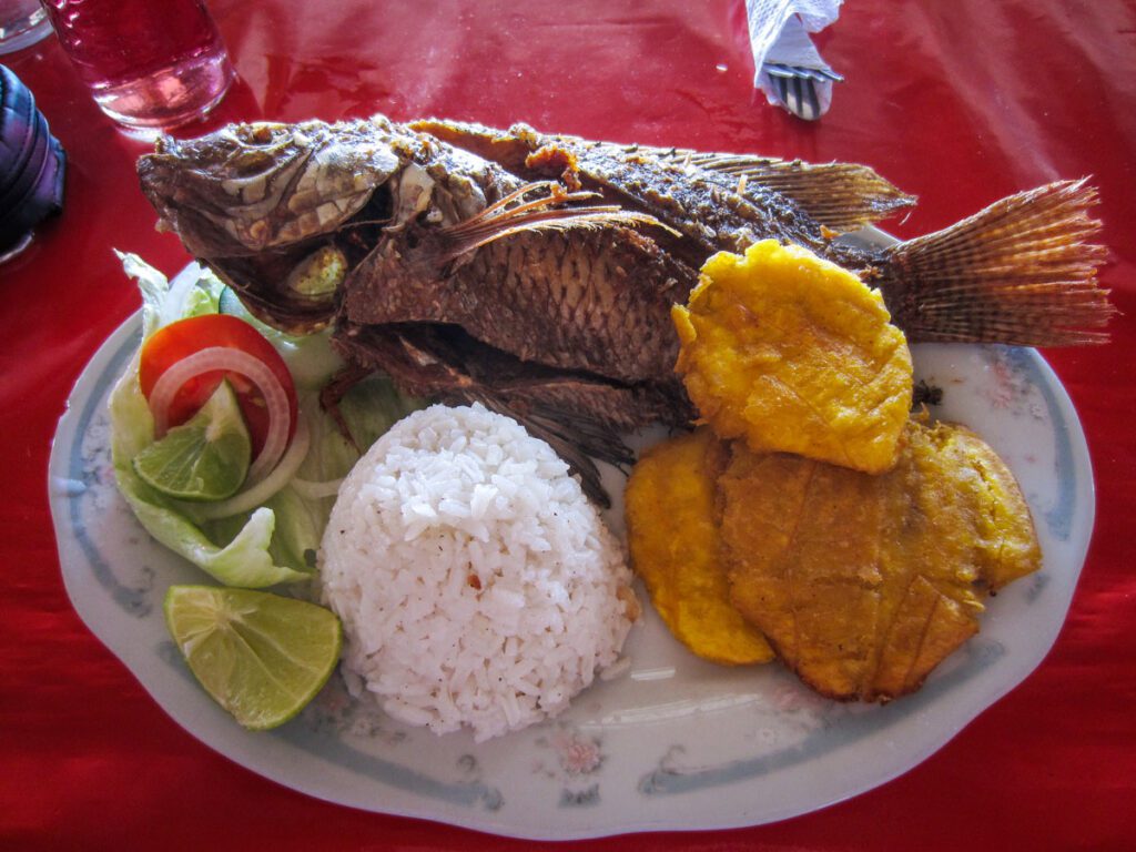 火山托图姆之旅午餐|哥伦比亚食物鱼，米饭和芭蕉