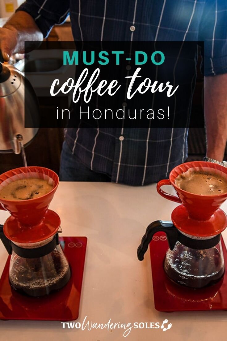 洪都拉斯咖啡之旅