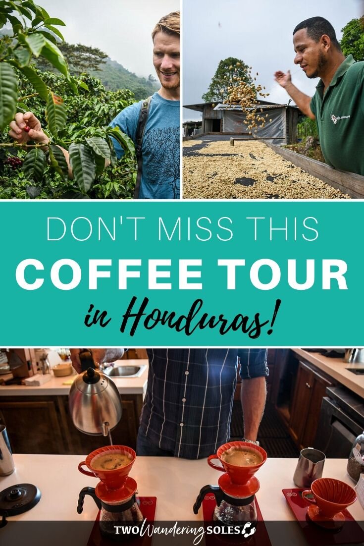 洪都拉斯咖啡之旅