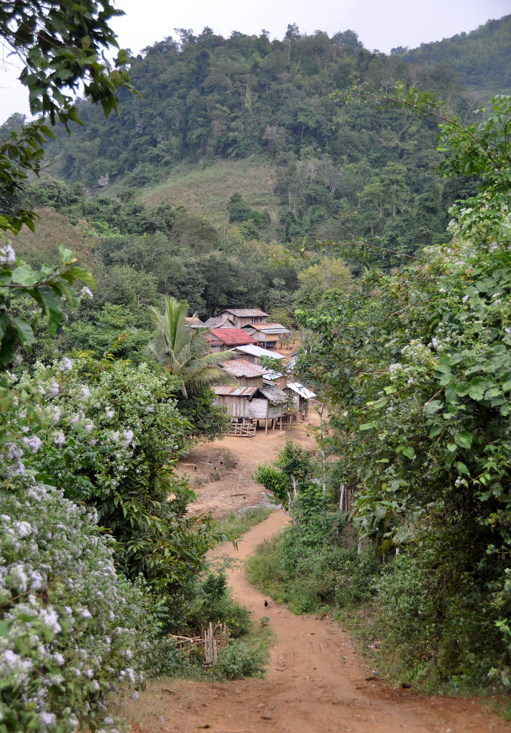 老挝偏远山区部落民宿白象历险记